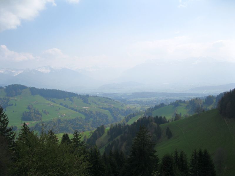 Aussicht in Richtung Linthebene
