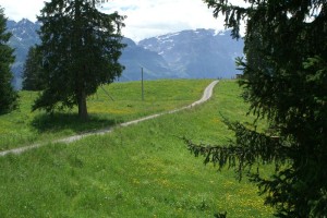 Braunwald