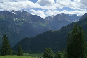 Braunwald