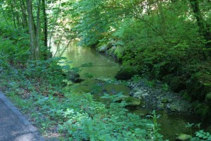 Kemptnertobel