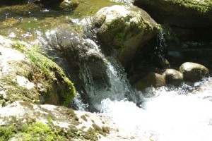 Aabach Kemptnertobel