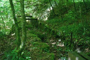 Kemptnertobel