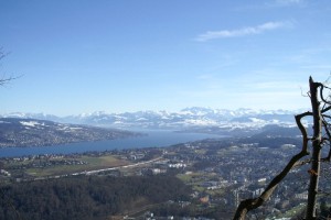Blick vom Üetliberg-Grat in Richtung Glarner Alpen