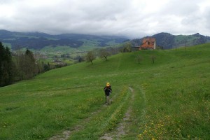 Appenzellerlland