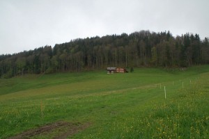 Appenzellerland