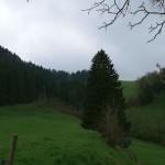 Appenzellerland