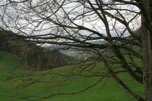 Appenzellerland