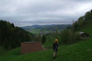Appenzellerland in Grau