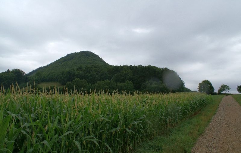 Kolumne: Eine Ode an den Regen