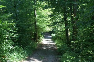 Altberg