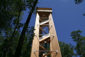 Der Altberg-Turm