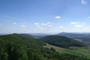 Altberg-Aussicht: Zürich und Üetliberg