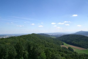 Altberg-Aussicht: Zürich und Üetliberg