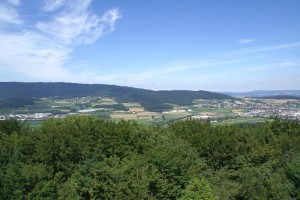 Altberg-Aussicht: Boppelsen und Buchs ZH