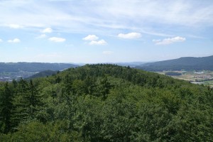 Der Altberg im Rückblick