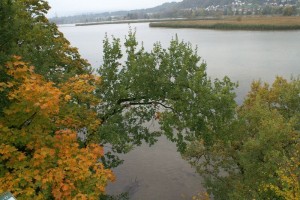Überblick über den See