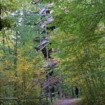 Ein Turm im Walde sich versteckt