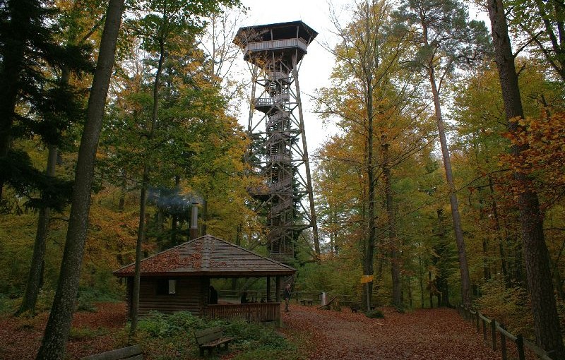 Der Loorenchopf-Turm in herbstlichem Gewand