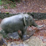 Der Elefant im Bach