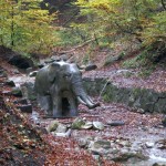 Der Elefant im Bach