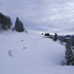 Blick über den gemütlichen Winterwanderweg von Steg aufs Hörnli)