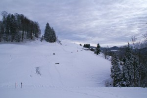Blick über den gemütlichen Winterwanderweg von Steg aufs Hörnli)