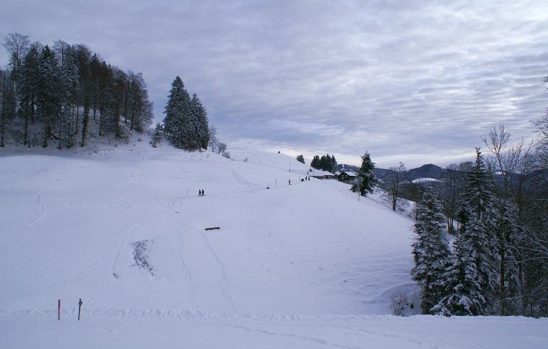 Blick über den gemütlichen Winterwanderweg von Steg aufs Hörnli)