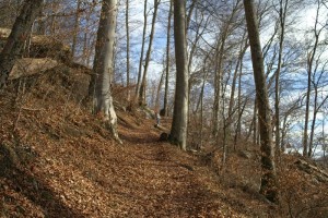 Der lange Aufstieg vom See zur Alp Garadur