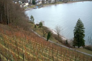 Wanderende in Walenstadt