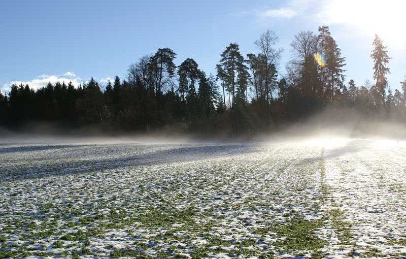 Allgemein: Auch der Winter hat schöne Seiten