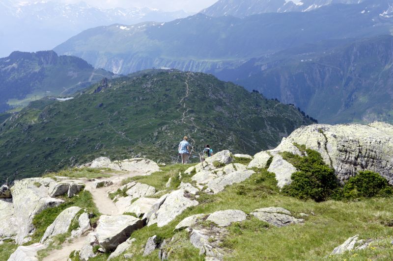 Den Pfad wollen wir wandeln...