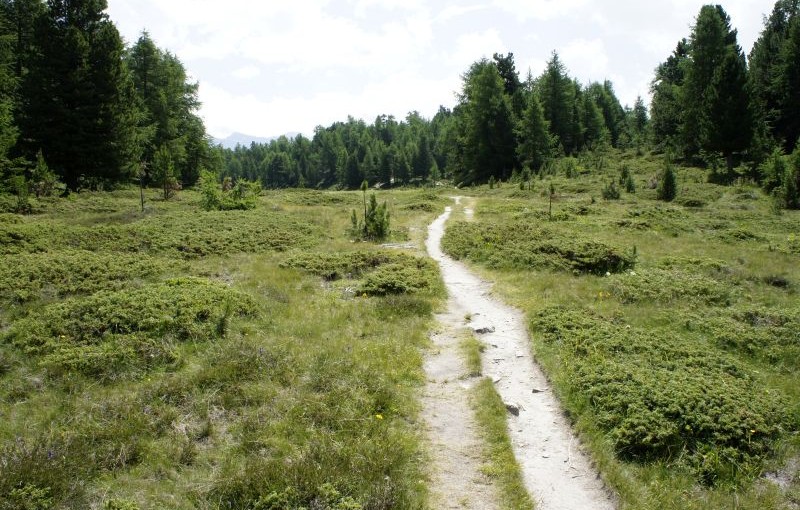 Moosalp – Törbel: Abstieg mit Aussicht