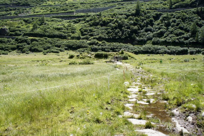 Hier war mal ein Gletscher...