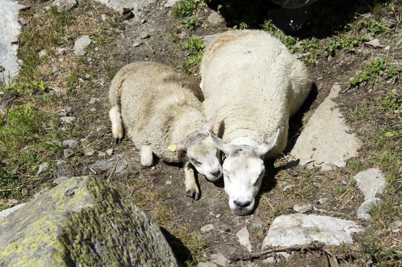 Die zwei lassen sich nicht stören...