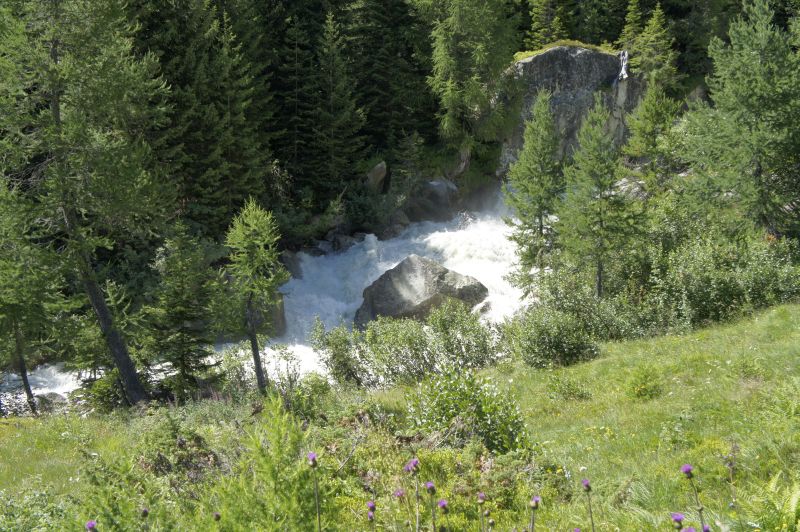 Wilde Rhone oder Rotten wie die Oberwalliser sagen