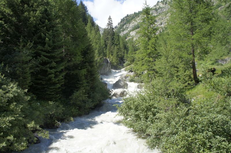 Ein regelrechtes Wildwasser