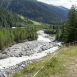 Das Tal öffnet sich, bald ist Oberwald erreicht