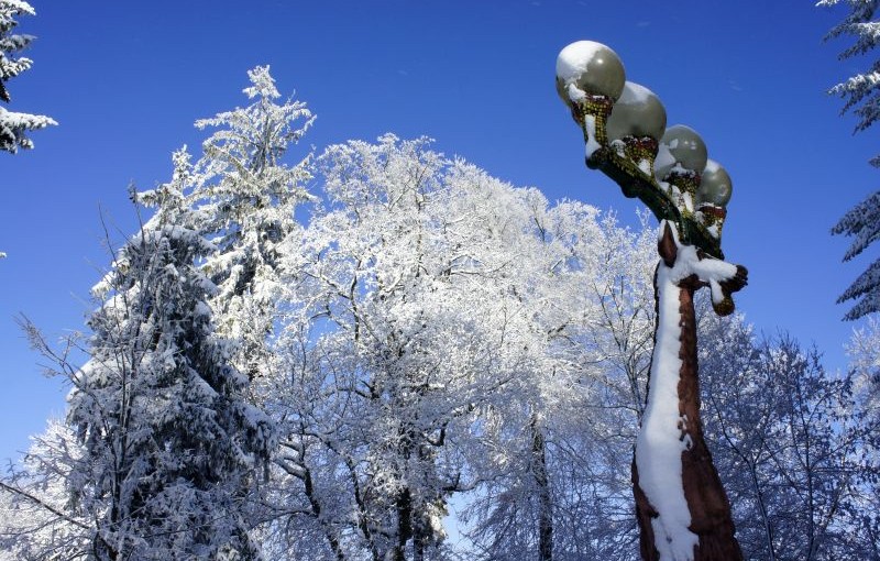 Uetliberg – Birmensdorf: vom Trubel in die Stille