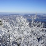 Blick über die Stadt Zürich