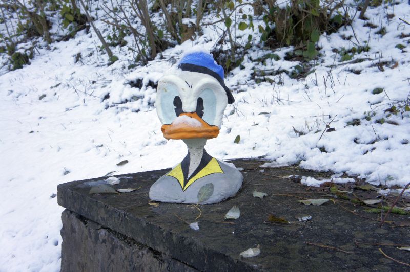 Der schaut aber grimmig...