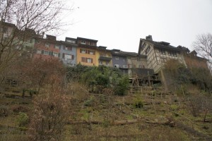 Bremgarten