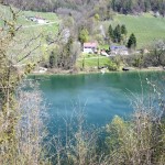 Der Rhein im Frühlingskleid