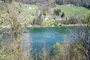 Der Rhein im Frühlingskleid