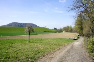 Rückblick auf den Laubberg