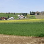 Ein Weiler ob dem Rhein