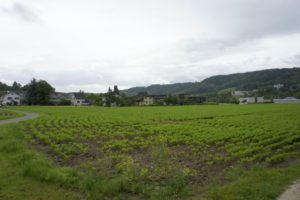 Oberau