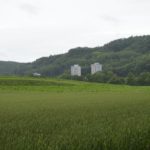 Ausblick über Feld und Flur