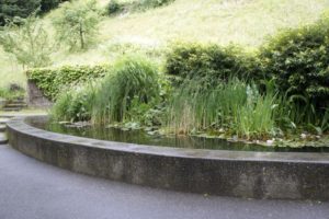 Goldfischteich am Limmatufer-Prommenadenweg
