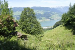Tiefblick auf den Sarnersee