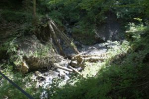 Viel Holz im Tobel
